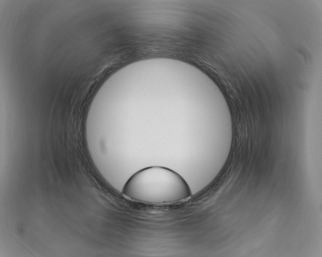 X0000110890308200906181012