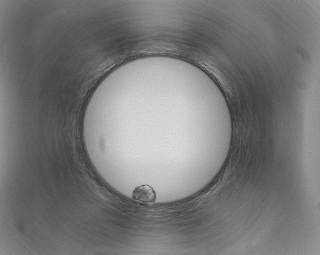 X0000110890309200906181012