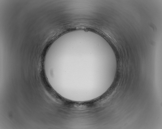 X0000110890311200906181012