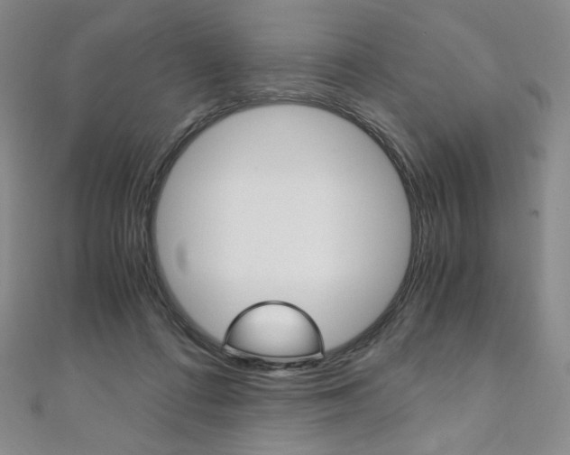 X0000110890312200906181012