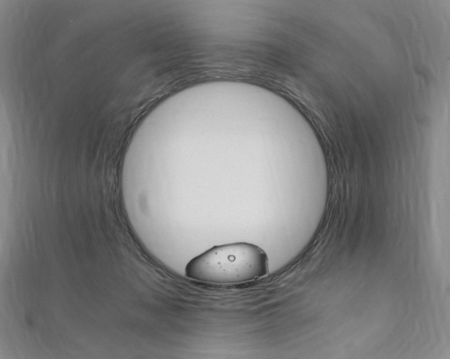 X0000110890317200906181011