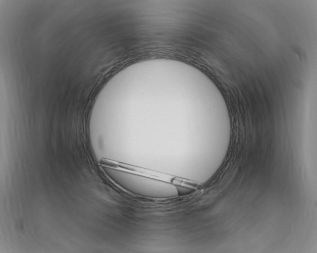 X0000110890320200906181011