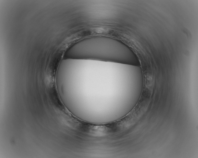 X0000110890324200906181011