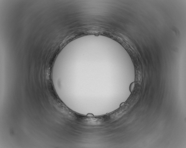X0000110890326200906181011