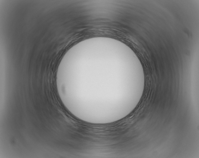 X0000110890327200906181011