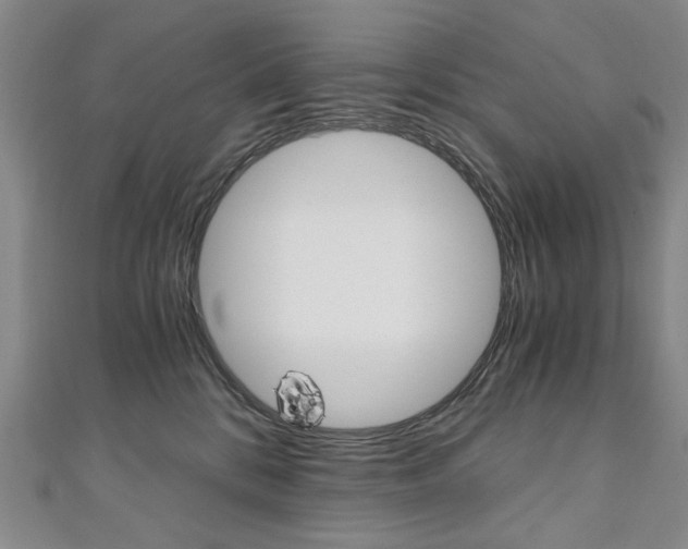 X0000110890328200906181011