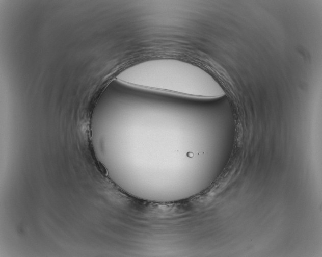 X0000110890329200906181011