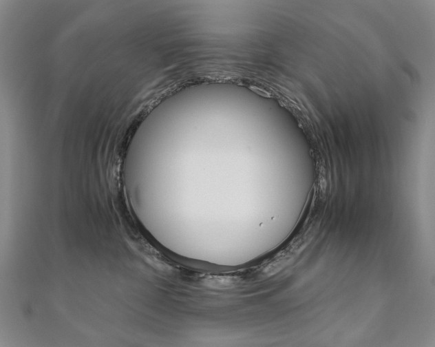 X0000110890332200906181011