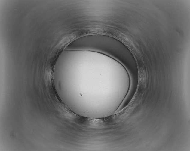 X0000110890333200906181011