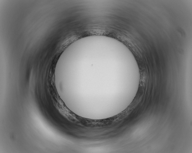 X0000110890334200906181011