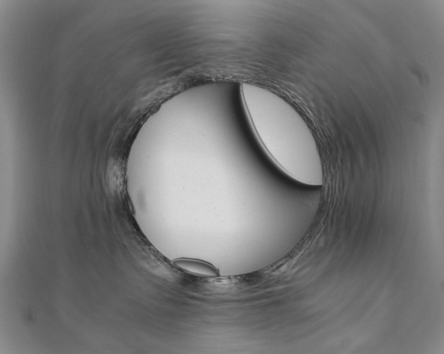X0000110890335200906181011