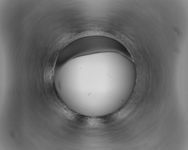 X0000110890336200906181011