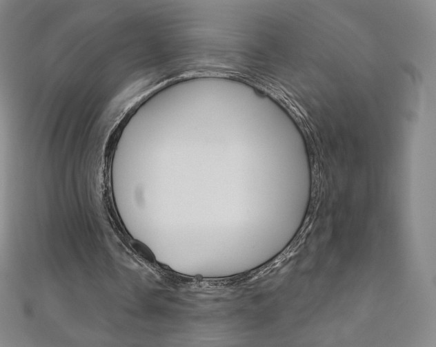 X0000110890338200906181011