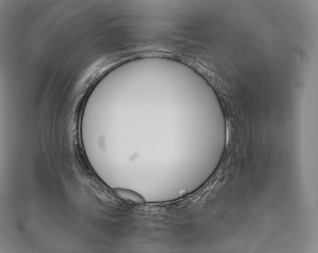 X0000110890339200906181011