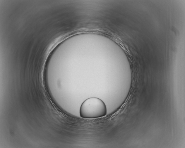 X0000110890340200906181011
