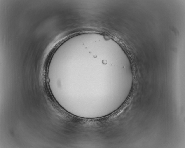 X0000110890343200906181011