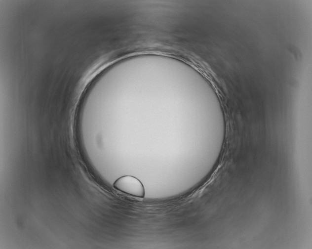 X0000110890344200906181011