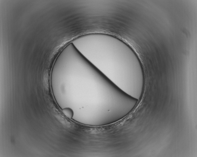X0000110890345200906181011