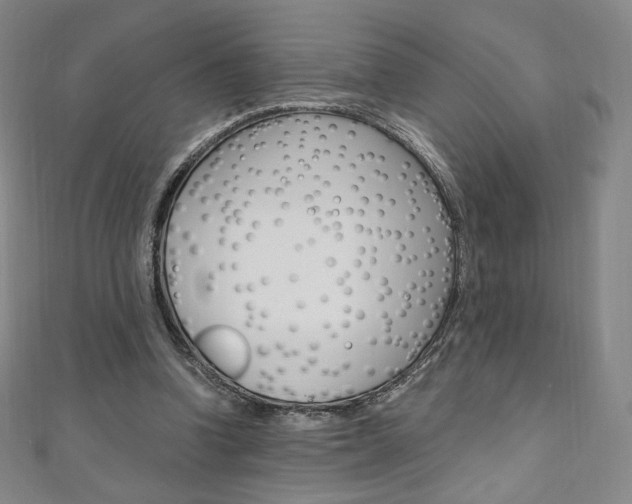 X0000110890346200906181011