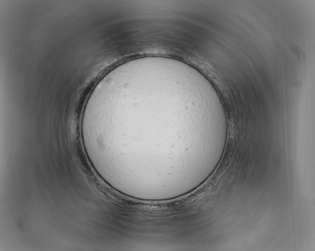 X0000110890347200906181011