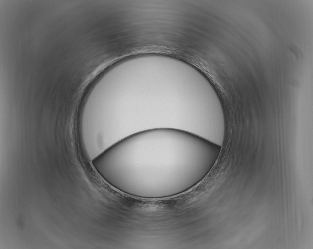 X0000110890348200906181011