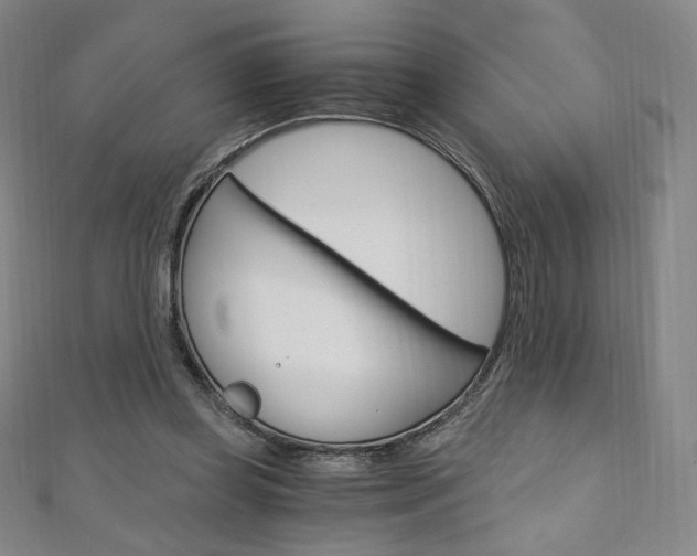X0000110890349200906181011