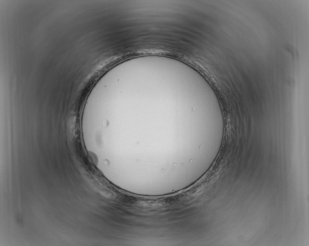 X0000110890351200906181011
