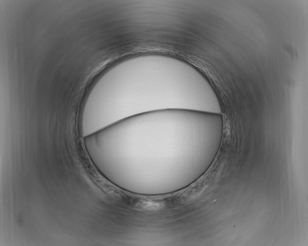 X0000110890352200906181011