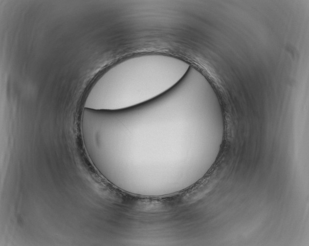 X0000110890354200906181011
