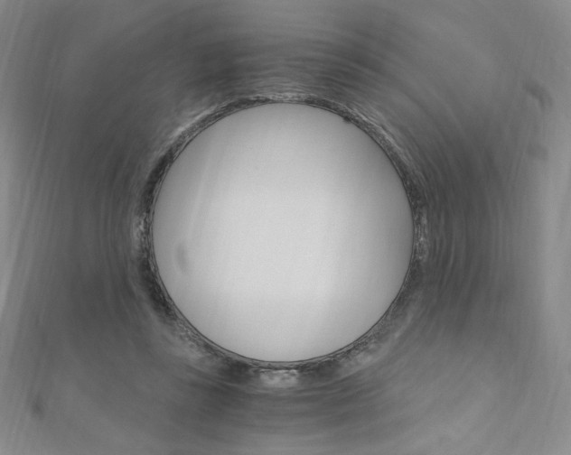 X0000110890355200906181011
