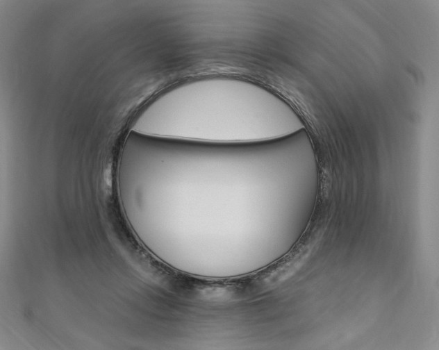 X0000110890358200906181011