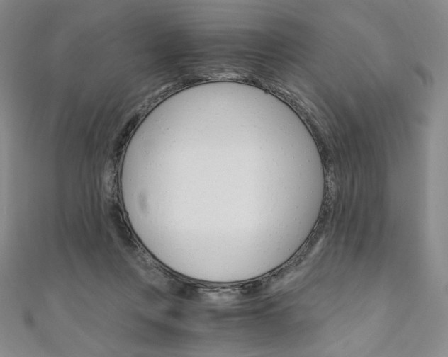 X0000110890359200906181011