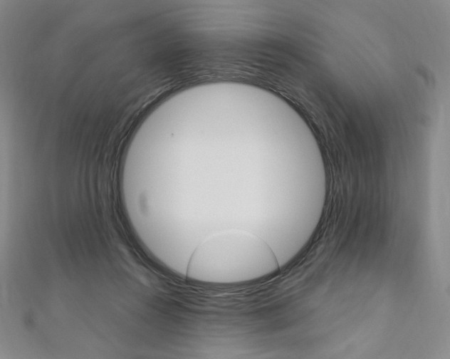 X0000110890360200906181011