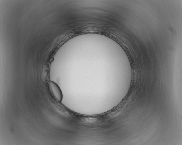 X0000110890361200906181011