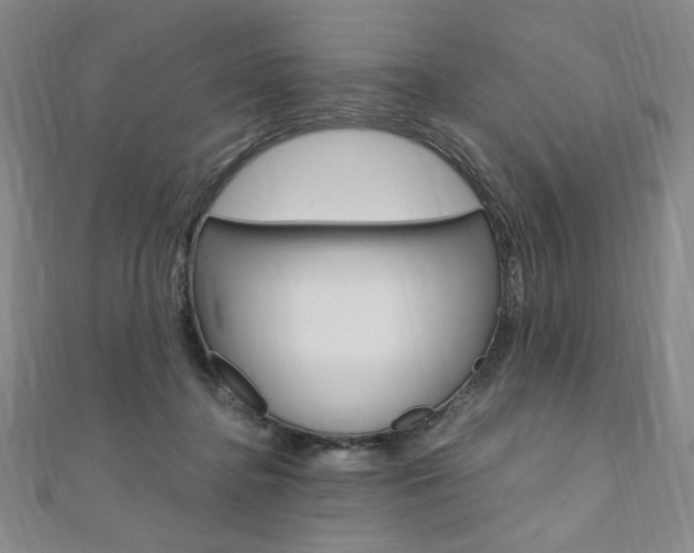 X0000110890364200906181011