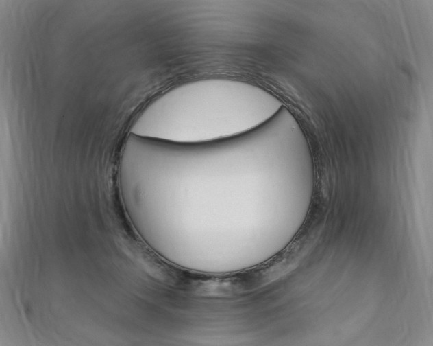 X0000110890366200906181011