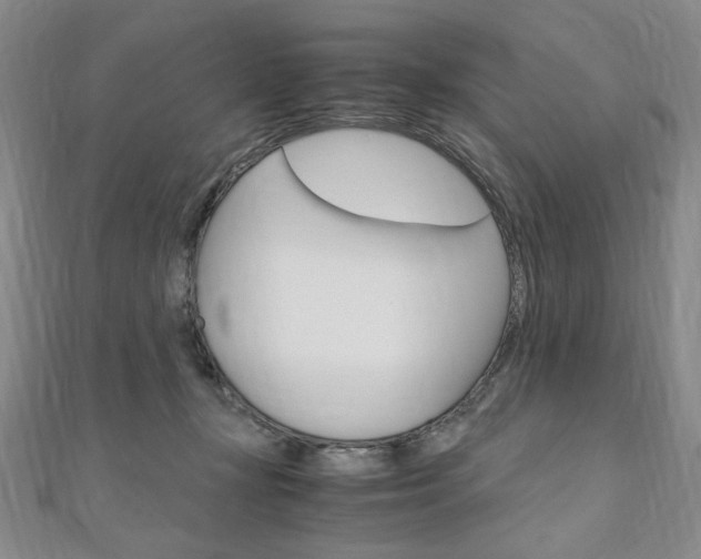 X0000110890367200906181011