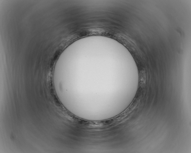 X0000110890369200906181011