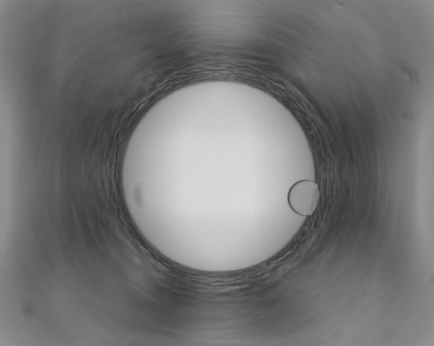 X0000110890372200906181011