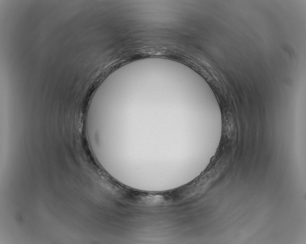 X0000110890374200906181011