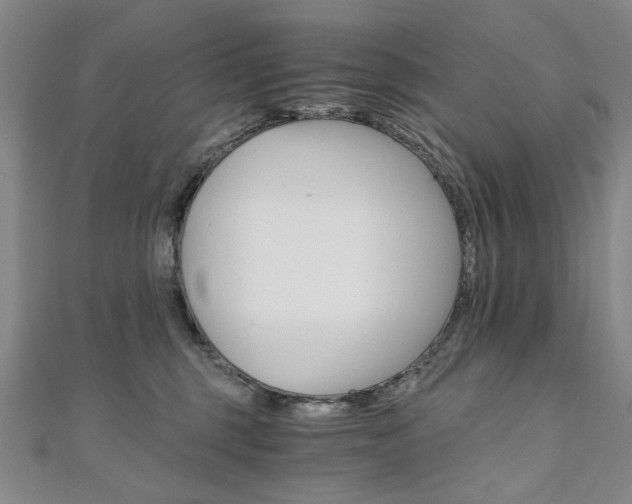 X0000110890375200906181011