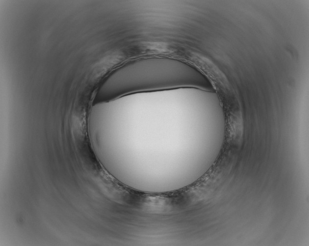 X0000110890376200906181011