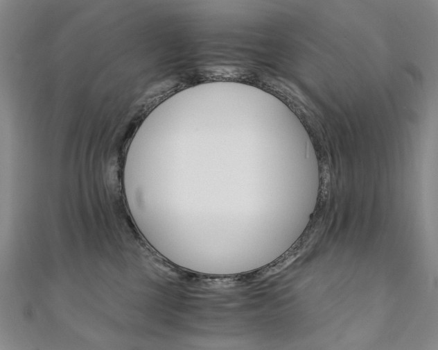 X0000110890377200906181011