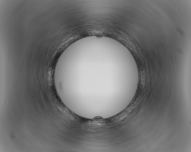 X0000110890378200906181011