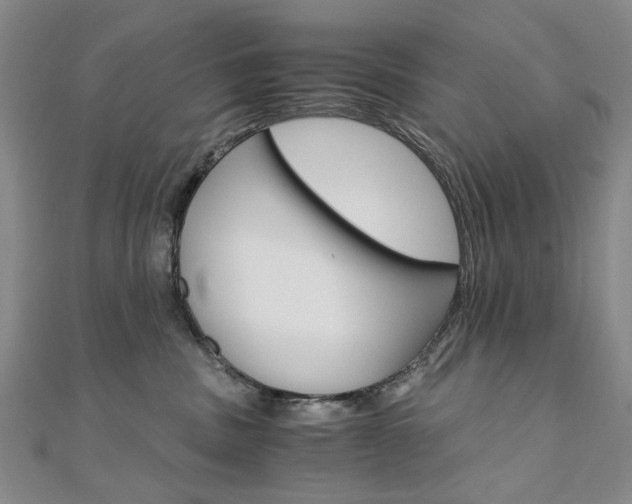 X0000110890379200906181011