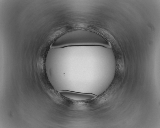 X0000110890380200906181011