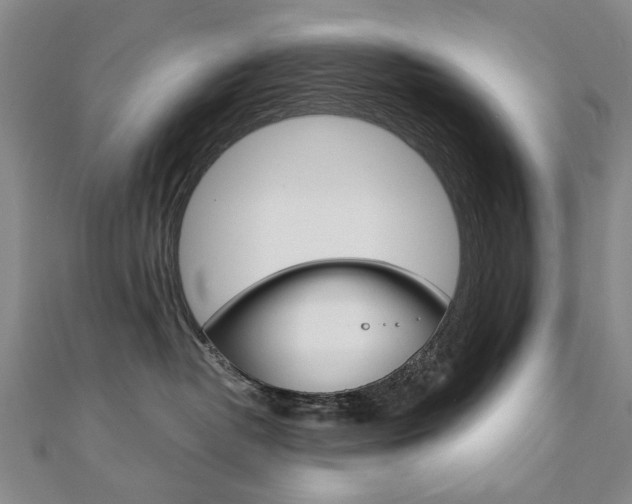 X0000110890382200906181011