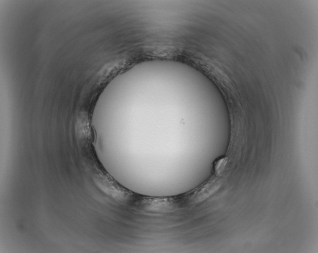 X0000110890384200906181011