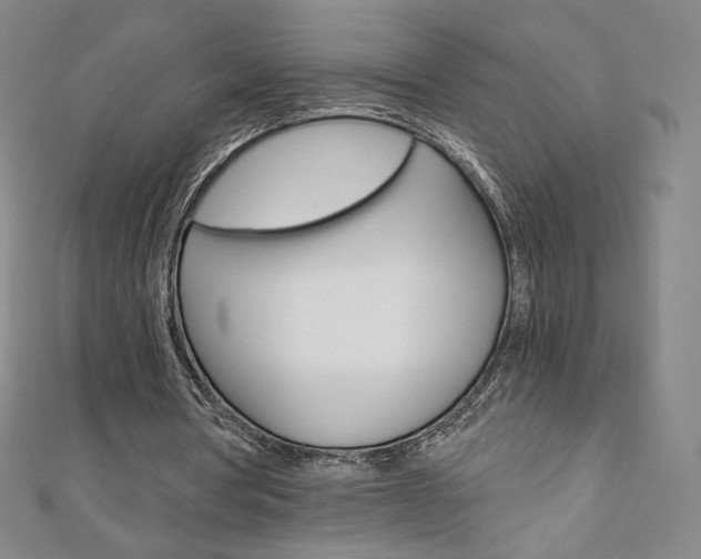 X0000110890386200906181011