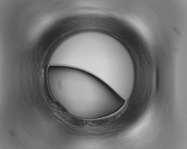 X0000110890387200906181011